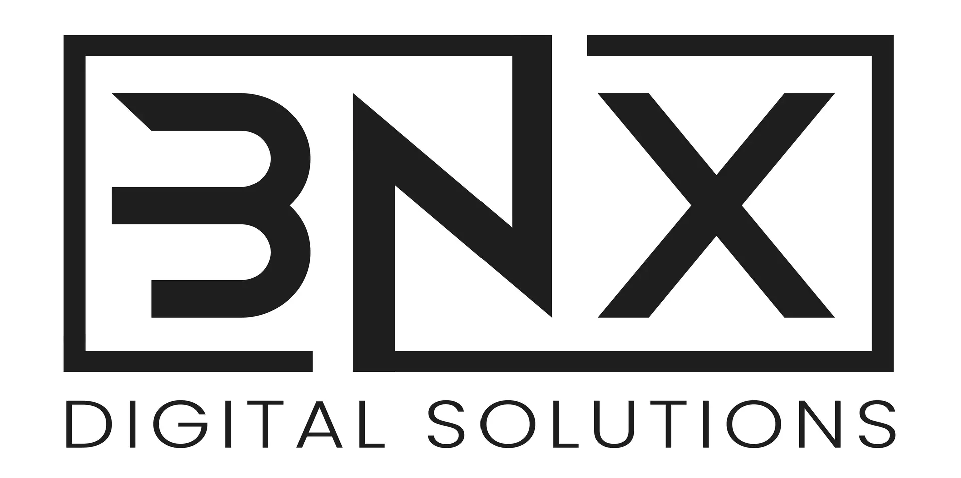 BiNexis Logo Schwarz