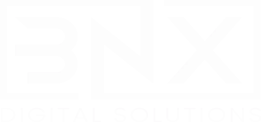 BiNexis Digital Solutions Logo