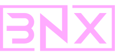Logo Animation BiNexis Loop