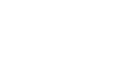 BiNexis Logo